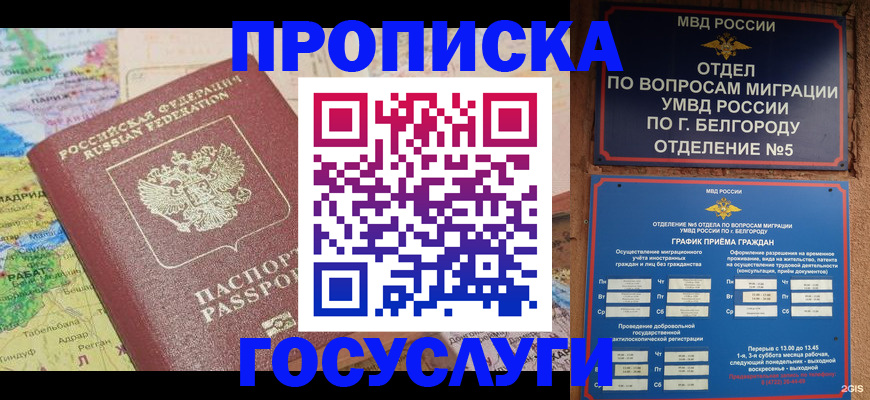 временная регистрация собственник в Мытищах